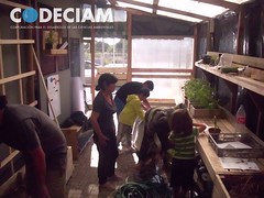 Huertas de la Vida 6